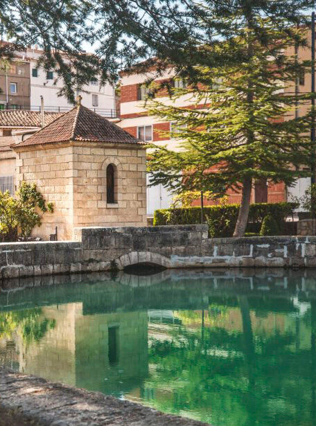 ladistala-cella-fuente